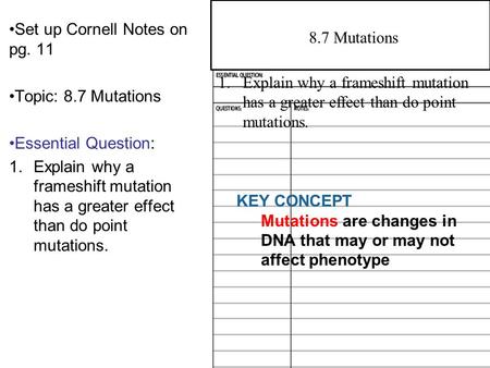 Set up Cornell Notes on pg. 11