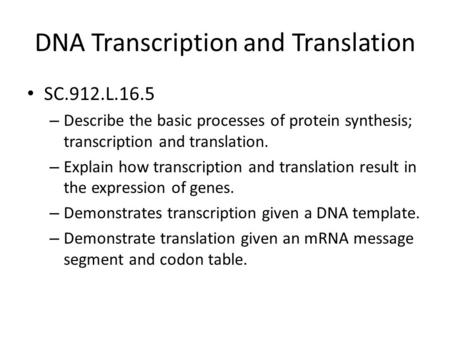 DNA Transcription and Translation