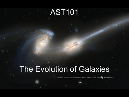 AST101 The Evolution of Galaxies. Virgo Cluster Collisions of Galaxies Outside of Clusters (the field), most galaxies are spiral or irregular In dense.