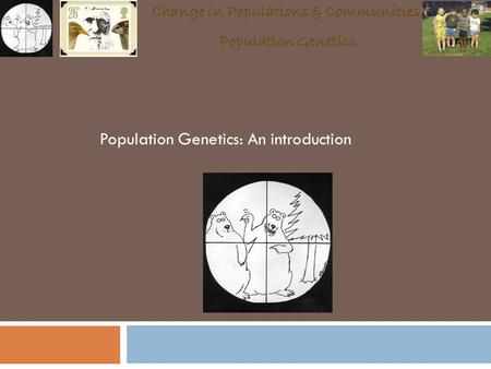 Population Genetics: An introduction Change in Populations & Communities: Population Genetics.