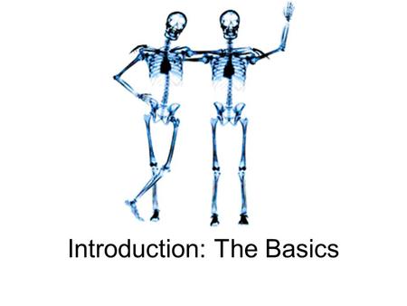 Introduction: The Basics