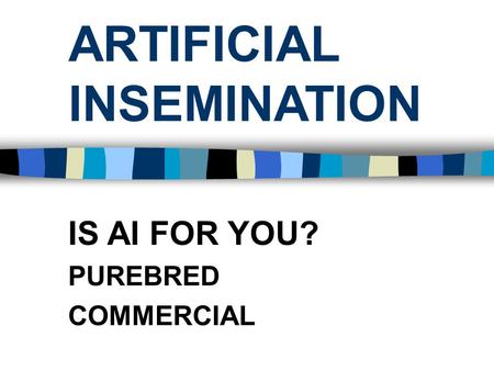 ARTIFICIAL INSEMINATION IS AI FOR YOU? PUREBRED COMMERCIAL.