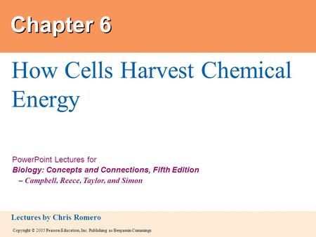 How Cells Harvest Chemical Energy