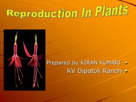 Prepared by KIRAN KUMARI KV Dipatoli Ranchi. Reproduction Reproduction: The process by which new individuals are produced is known as reproduction.