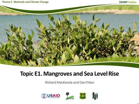 Topic E1. Mangroves and Sea Level Rise Richard MacKenzie and Dan Friess.