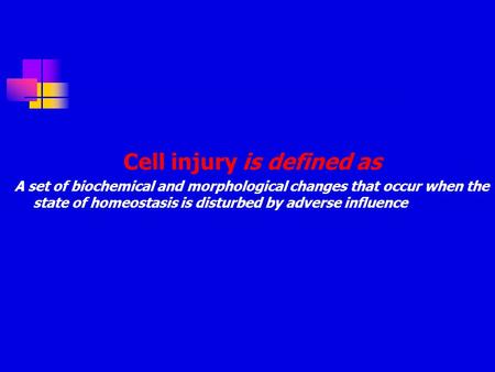 Cell injury is defined as A set of biochemical and morphological changes that occur when the state of homeostasis is disturbed by adverse influence.