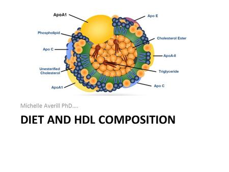 DIET AND HDL COMPOSITION Michelle Averill PhD….. HDL Proteome and Diet Date Independent Identification of all Proteins Detectable on HDL Diet Study –