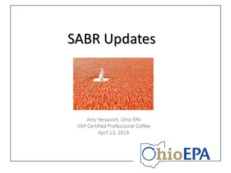 SABR Updates Amy Yersavich, Ohio EPA VAP Certified Professional Coffee April 13, 2015.