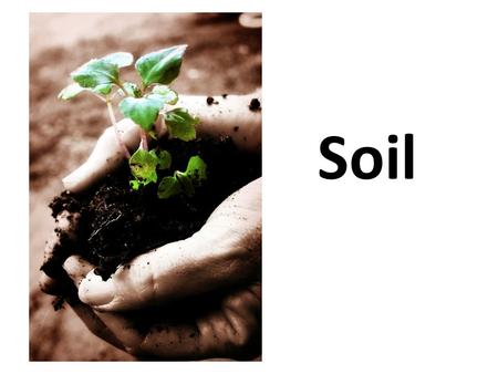 Soil. I. Physical and Chemical Properties of Soil A. Soil Texture – Relative amounts of sand, clay, and silt in the soil. Gives one of the best indicators.