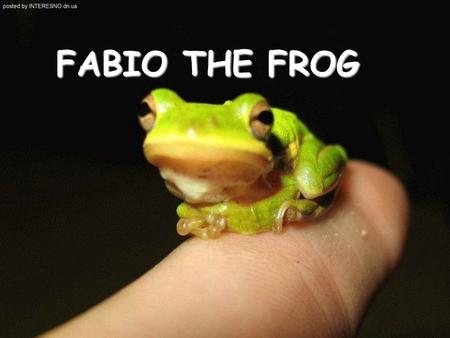 FABIO THE FROG. A long time ago, there was a leaf where Fabio the Frog lived. He was very sad, because he was a very tiny frog.