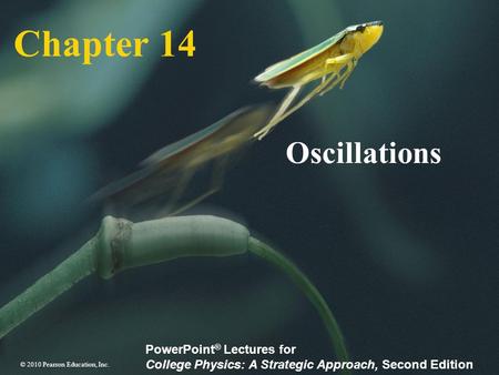 Chapter 14 Oscillations.
