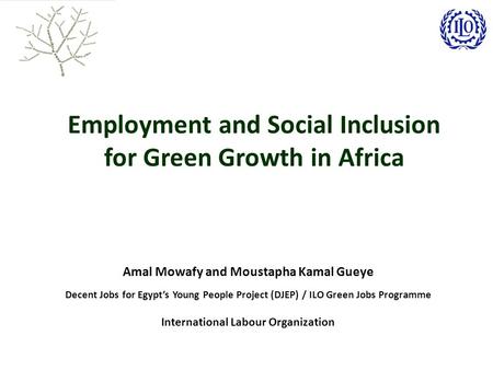 Employment and Social Inclusion for Green Growth in Africa Amal Mowafy and Moustapha Kamal Gueye Decent Jobs for Egypt’s Young People Project (DJEP) /