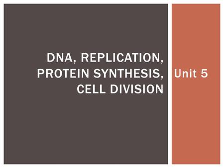 Unit 5 DNA, REPLICATION, PROTEIN SYNTHESIS, CELL DIVISION.