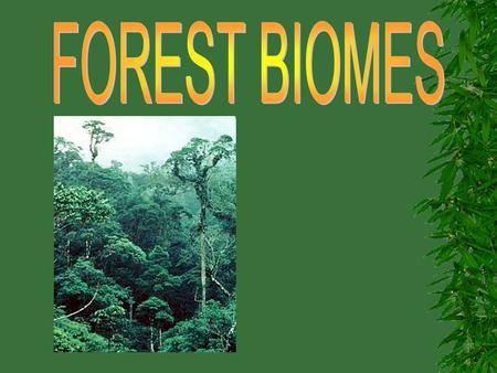 FOREST BIOMES.