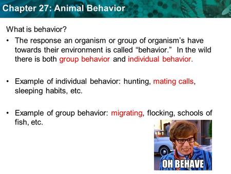 What is behavior? The response an organism or group of organism’s have towards their environment is called “behavior.” In the wild there is both group.