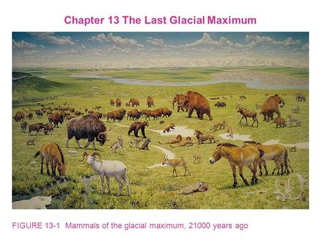 FIGURE 13-1 Mammals of the glacial maximum, 21000 years ago Chapter 13 The Last Glacial Maximum.