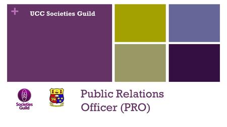 Public Relations Officer (PRO)