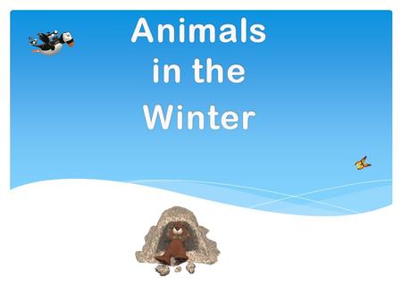 Animals in the Winter.