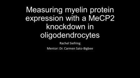Measuring myelin protein expression with a MeCP2 knockdown in oligodendrocytes Rachel Siefring Mentor: Dr. Carmen Sato-Bigbee.