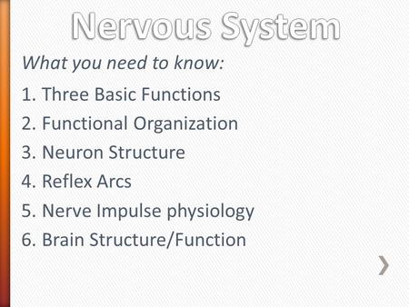 Nervous System What you need to know: Three Basic Functions