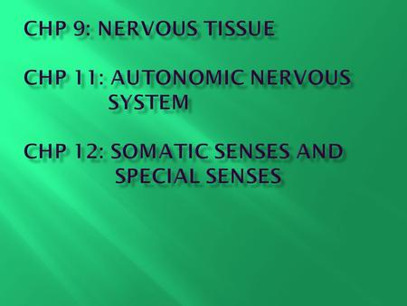 Chapter 9: Nervous Tissue Learning Objectives