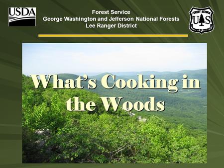 What’s Cooking in the Woods