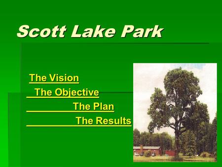 Scott Lake Park The Vision The Vision The Objective The Objective The Plan The Plan The Results The Results.