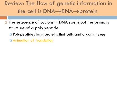 Review: The flow of genetic information in the cell is DNA  RNA  protein  The sequence of codons in DNA spells out the primary structure of a polypeptide.