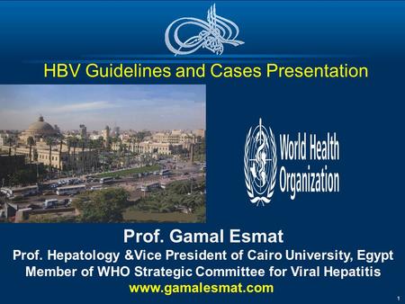 HBV Guidelines and Cases Presentation