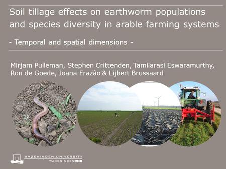 Soil tillage effects on earthworm populations and species diversity in arable farming systems - Temporal and spatial dimensions - Mirjam Pulleman, Stephen.