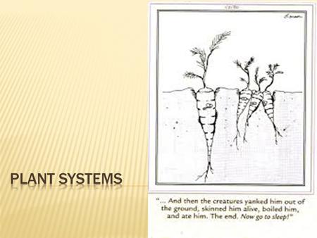 Plant systems.
