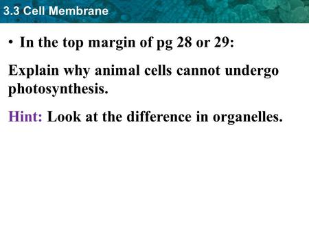 3.3 Cell Membrane In the top margin of pg 28 or 29: Explain why animal cells cannot undergo photosynthesis. Hint: Look at the difference in organelles.