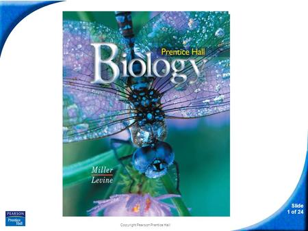 Slide 1 of 24 Copyright Pearson Prentice Hall biology.