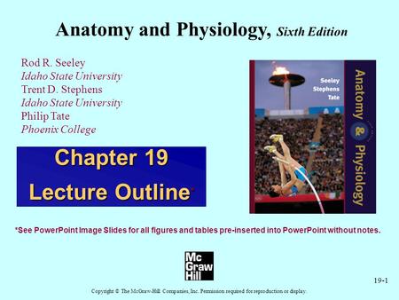 19-1 Anatomy and Physiology, Sixth Edition Rod R. Seeley Idaho State University Trent D. Stephens Idaho State University Philip Tate Phoenix College Copyright.