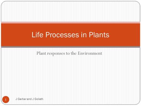 Plant responses to the Environment Life Processes in Plants J Gerber and J Goliath 1.