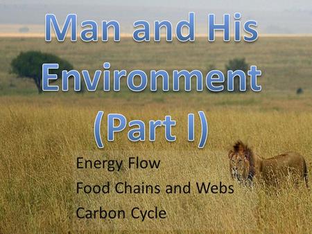 Energy Flow Food Chains and Webs Carbon Cycle