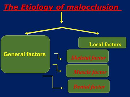 The Etiology of malocclusion