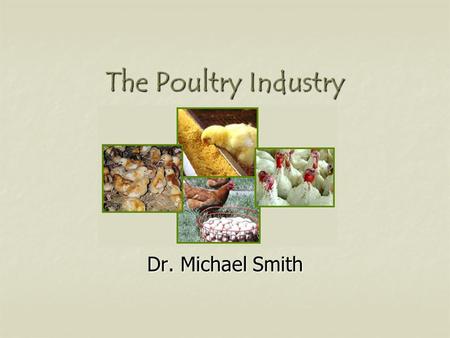 The Poultry Industry Dr. Michael Smith. U.S. Poultry Industry Broilers Broilers Eggs Eggs Turkey Turkey.