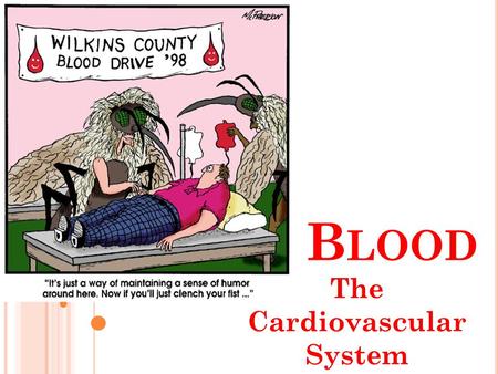 B LOOD The Cardiovascular System. Blood transports substances and maintains homeostasis in the body Hematophobia = fear of blood.