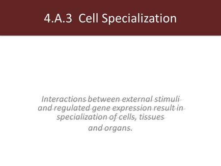 4.A.3 Cell Specialization Interactions between external stimuli and regulated gene expression result in specialization of cells, tissues and organs.
