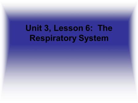 Unit 3, Lesson 6: The Respiratory System. Purpose of the Respiratory System Provide oxygen to the tissues Remove carbon dioxide from the body Temperature.