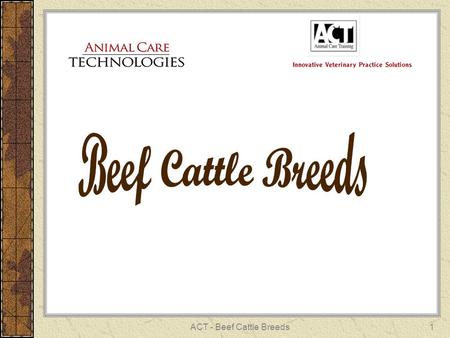 ACT - Beef Cattle Breeds1. 2 ANGUS British breed Scotland Polled Small calves Early maturing Red (Recessive) Black.