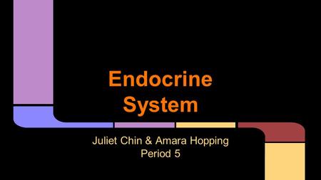 Endocrine System Juliet Chin & Amara Hopping Period 5.
