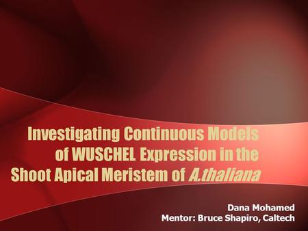 Investigating Continuous Models of WUSCHEL Expression in the Shoot Apical Meristem of A.thaliana Dana Mohamed Mentor: Bruce Shapiro, Caltech.