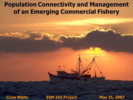 Population Connectivity and Management of an Emerging Commercial Fishery Crow White ESM 242 ProjectMay 31, 2007.
