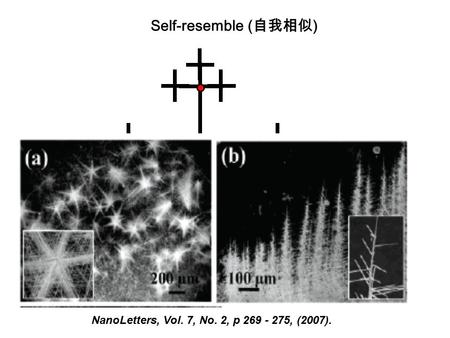 Self-resemble ( 自我相似 ) NanoLetters, Vol. 7, No. 2, p 269 - 275, (2007).