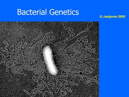 Bacterial Genetics G.Jamjoom 2005.