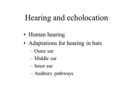 Hearing and echolocation