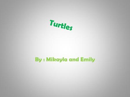 Turtles By : Mikayla and Emily NATIVE TURTLES Eastern box turtle Snapping turtle Eastern painted turtle Painted turtle Spotted turtle Blanding’s turtle.
