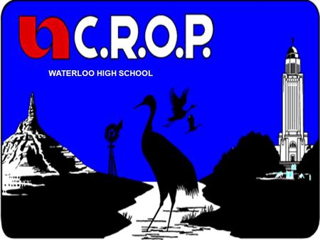 WATERLOO HIGH SCHOOL. COSMIC RAY OBSERVATORY PROJECT  Goal of the statewide project  Install cosmic ray detectors at high schools around the state of.
